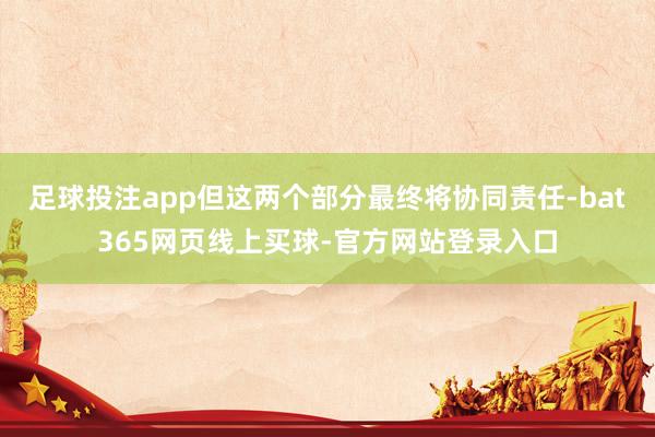 足球投注app但这两个部分最终将协同责任-bat365网页线上买球-官方网站登录入口