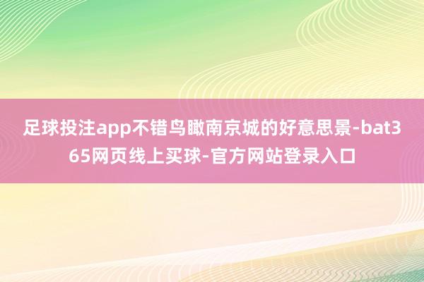 足球投注app不错鸟瞰南京城的好意思景-bat365网页线上买球-官方网站登录入口