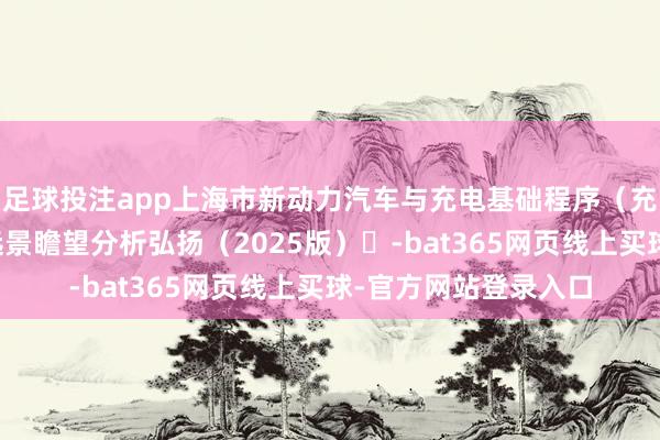 足球投注app上海市新动力汽车与充电基础程序（充电桩）市集发展与远景瞻望分析弘扬（2025版）​-bat365网页线上买球-官方网站登录入口
