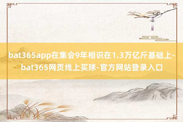 bat365app在集会9年相识在1.3万亿斤基础上-bat365网页线上买球-官方网站登录入口