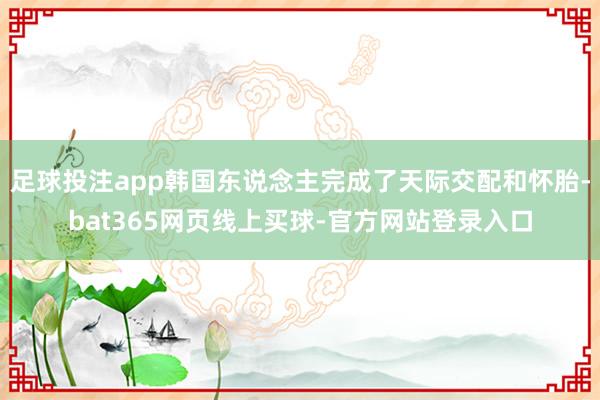 足球投注app韩国东说念主完成了天际交配和怀胎-bat365网页线上买球-官方网站登录入口