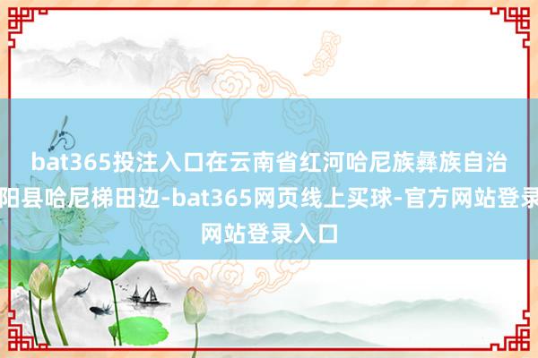 bat365投注入口　　在云南省红河哈尼族彝族自治州元阳县哈尼梯田边-bat365网页线上买球-官方网站登录入口