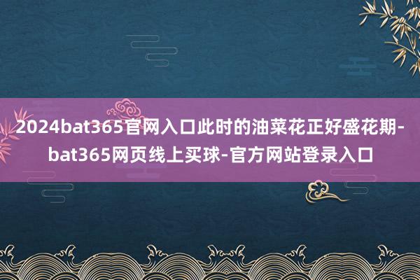 2024bat365官网入口此时的油菜花正好盛花期-bat365网页线上买球-官方网站登录入口