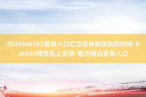 2024bat365官网入口伫立在树前抚玩的时间-bat365网页线上买球-官方网站登录入口