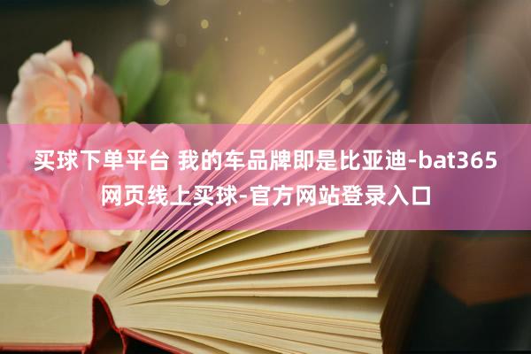买球下单平台 我的车品牌即是比亚迪-bat365网页线上买球-官方网站登录入口