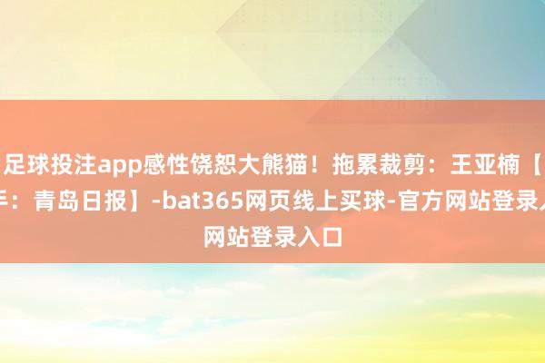 足球投注app感性饶恕大熊猫！拖累裁剪：王亚楠【着手：青岛日报】-bat365网页线上买球-官方网站登录入口