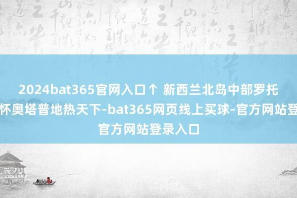 2024bat365官网入口↑ 新西兰北岛中部罗托鲁阿的怀奥塔普地热天下-bat365网页线上买球-官方网站登录入口