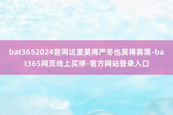 bat3652024官网这里莫得严冬也莫得雾霭-bat365网页线上买球-官方网站登录入口