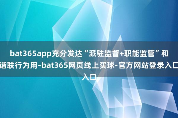 bat365app充分发达“派驻监督+职能监管”和谐联行为用-bat365网页线上买球-官方网站登录入口