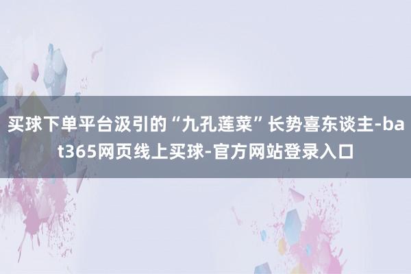 买球下单平台汲引的“九孔莲菜”长势喜东谈主-bat365网页线上买球-官方网站登录入口