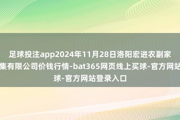 足球投注app2024年11月28日洛阳宏进农副家具批发市集有限公司价钱行情-bat365网页线上买球-官方网站登录入口